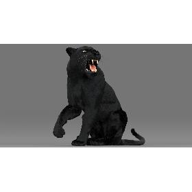 Black Panther (Rigged-Fur) 3D model